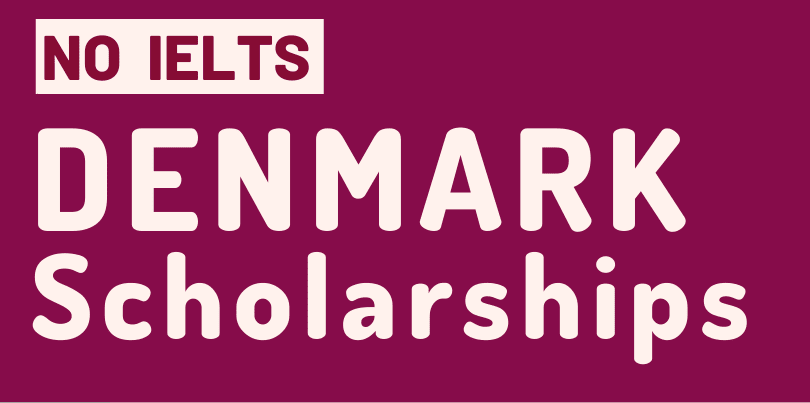 Denmark Scholarships in 2024 Without IELTS