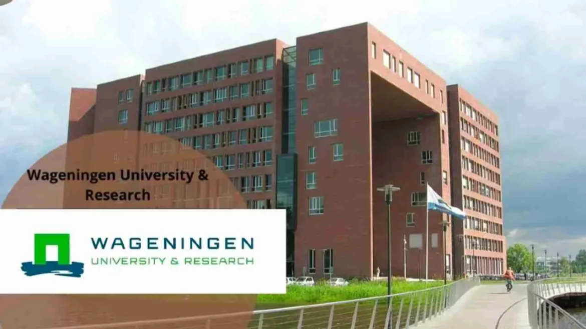The 2024 Wageningen University Africa Scholarship Program [PREMIUM FUNDED]