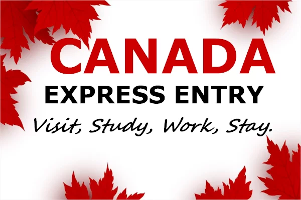 Canada Express Entry: Guide, Procedure, and Age Requirement