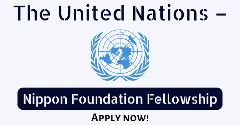 Nippon Foundation Fellowship at the United Nations, 2024