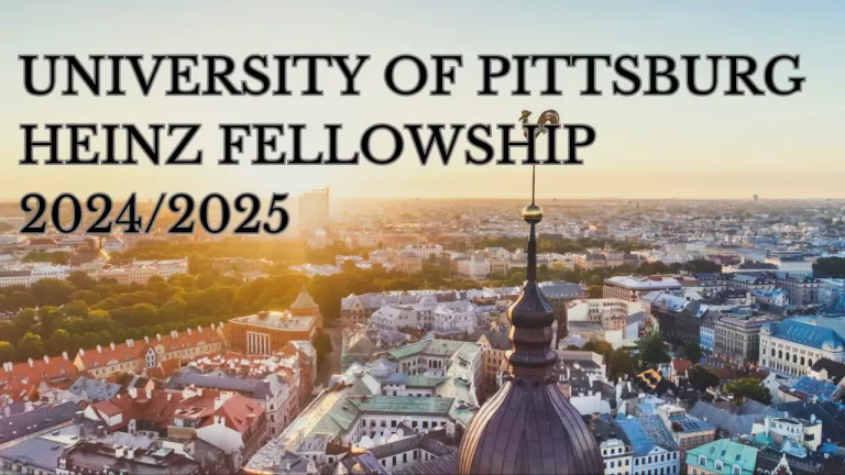 Pittsburgh University H.J. Heinz Fellowship 2024