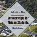 Scholarship for African Students at the University of Gävle, 2024