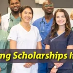 Top 10 Nursing Scholarships to Study in the USA in 2024