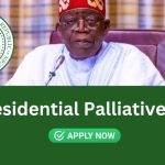 Apply now for the N1 million Presidential Palliative Loan!