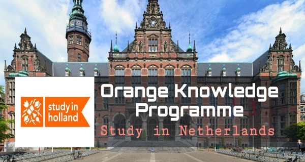 Orange Knowledge Programme 2024: Study Abroad in the Netherlands