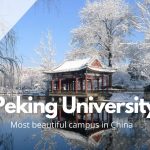 Peking University International Student Scholarship 2024