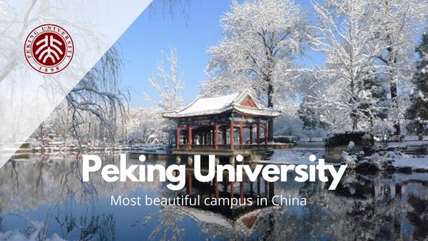 Peking University International Student Scholarship 2024
