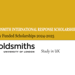 Scholarship for International Response in 2024