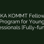 Young Professionals' AFRIKA KOMMT Fellowship Program