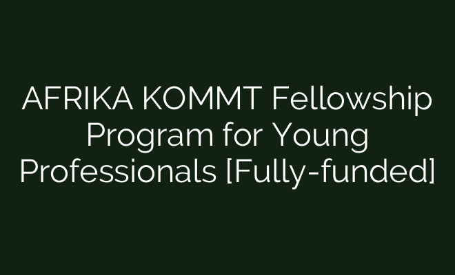 Young Professionals' AFRIKA KOMMT Fellowship Program
