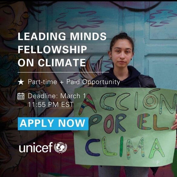 UNICEF Youth Fellowship for Leading Minds 2024